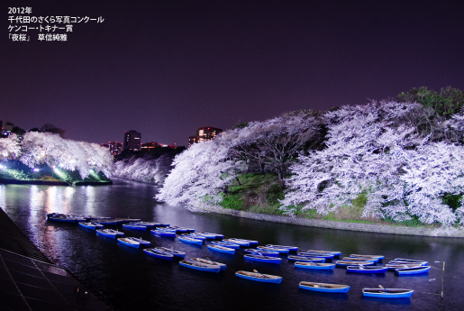 千代田　桜祭り　夜景